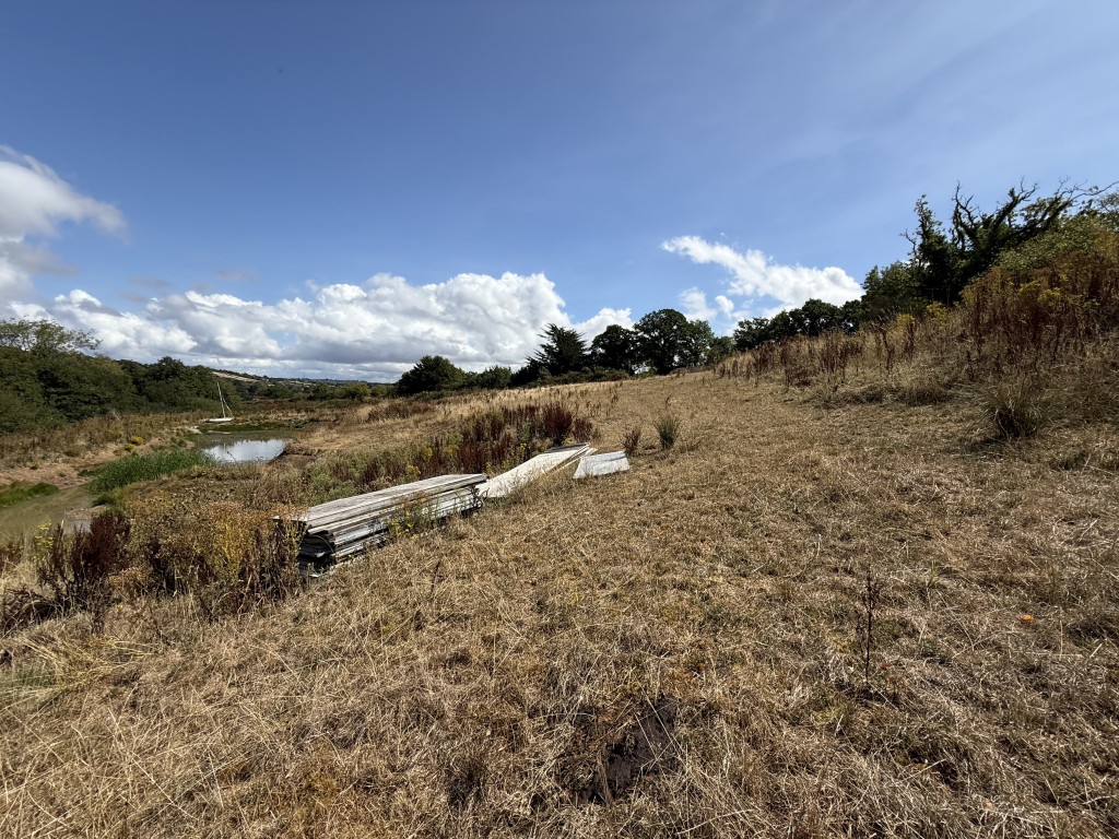 Lot: 114 - DETACHED BUNGALOW WITH APPROXIMATELY 11.6 ACRES, REQUIRING RENOVATION - Looking across the field and lake